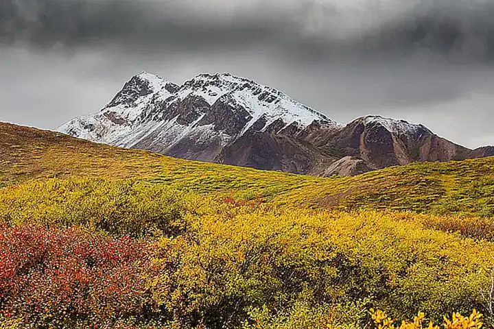 Adaptación al clima en Alaska