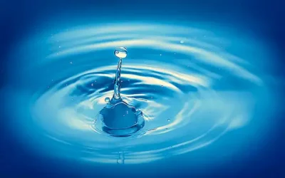 alimentacion-completa-y-equilibrada_h2_534.webp