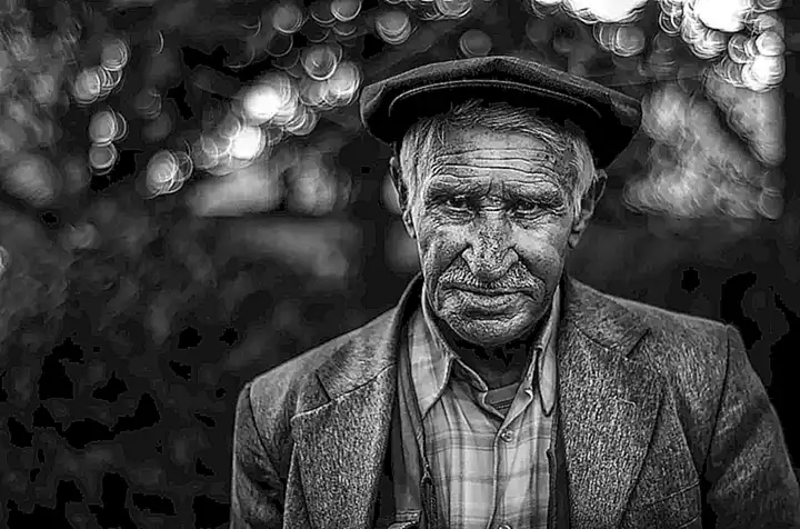 Alimentación de los gatos en edad avanzada
