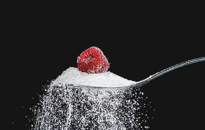 Alimentación saludable para gatos con diabetes