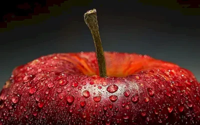 alimentos-secos_h2_1197.webp