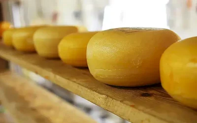 alimentos-carnicolas_h2_1207.webp