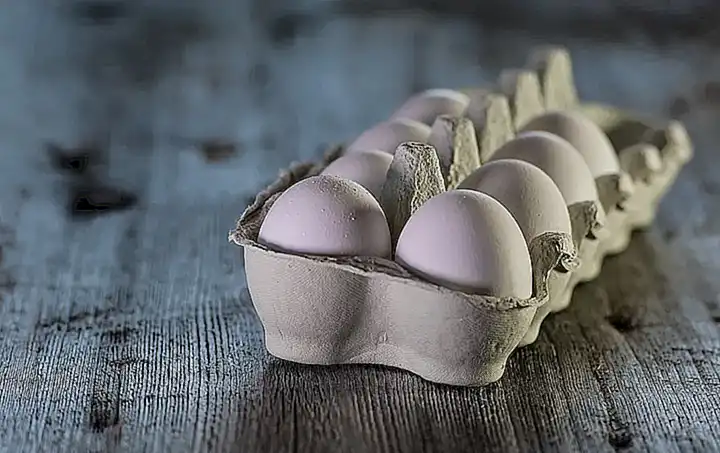 Alimentos no tradicionales