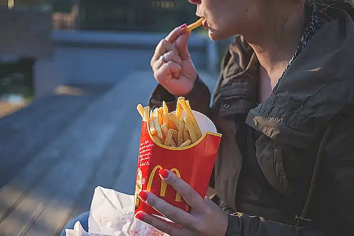 Alimentos para gatos con problemas alimentarios