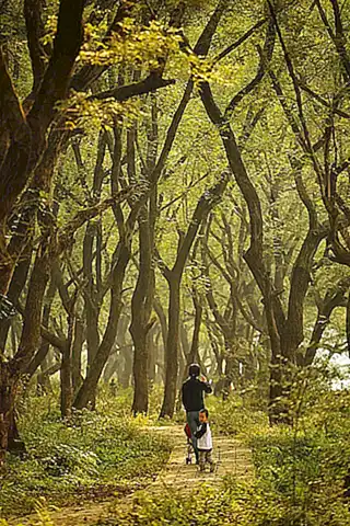 Ambiente Naturales