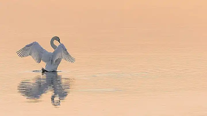 Ambiente y conservación