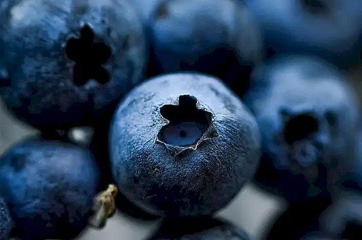 Arándanos