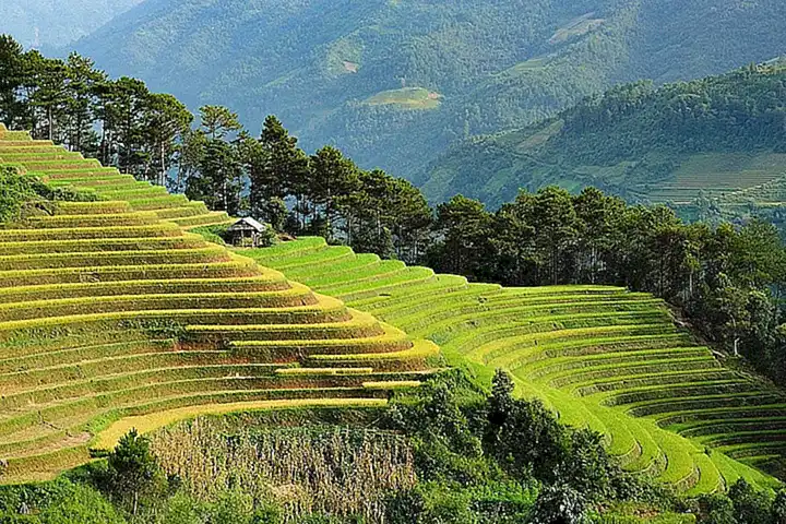 Asia