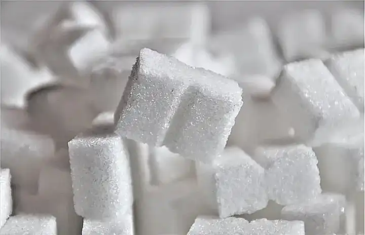 Ayuda a prevenir enfermedades como diabetes tipo 2 y obesidad