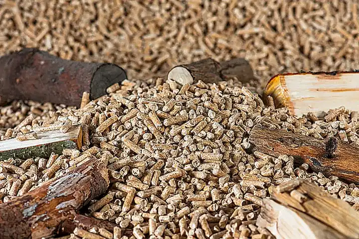 Beneficios de usar una bolsa y dispensador de bolitas