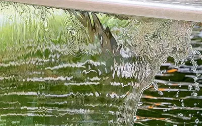 nuevos-productos-para-2023_h2_1607.webp