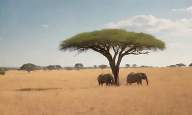 una escena cálida y soleada de sabanas, elefantes en la distancia, una suave pendiente que conduce a un árbol de acacia distante, ambiente sereno, ningún peligro inmediato o perturbación
