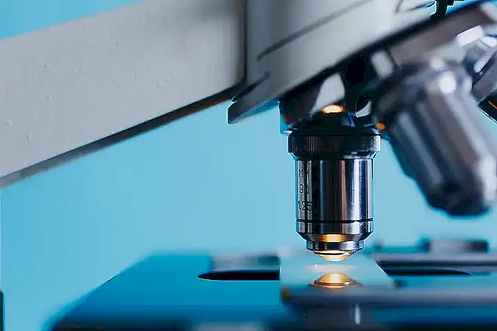 Ciencia
