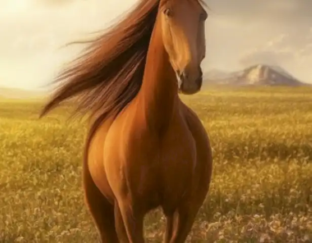 ¿Qué comen los caballos? Un viaje por el mundo de estos animales increíbles.