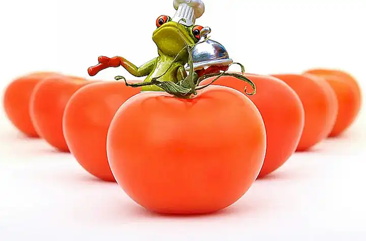 Cómo cocinar las verduras para perros