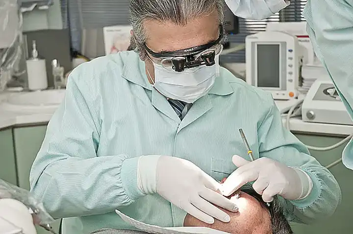 Cómo cuidar de los dientes y el pelo de tus mascotas