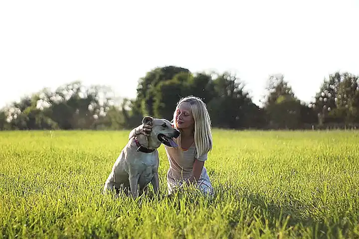 Cómo elegir el mejor tranquilizer para tu perro
