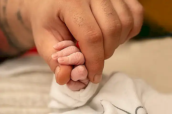 Cómo fomentar el amor y la confianza entre tú y tu gato