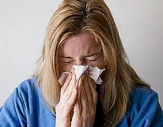 tipos-de-pastillas-para-alergia-a-los-gatos_h2_5.webp