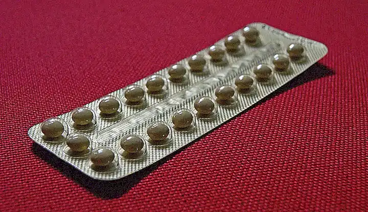 Cómo se puede obtener más información sobre los anticonceptivos para gatos?