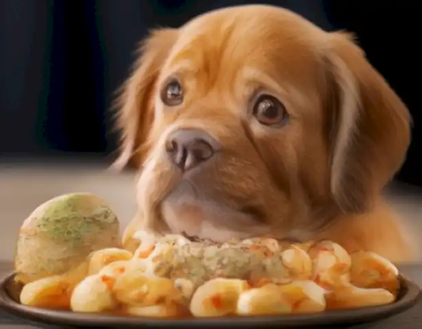 Alimenta a tu gato adulto: recetas fáciles y saludables muestra recetas nutritivas y deliciosas para perros de todas las edades.