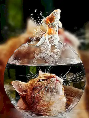 Compatibilidad con otros goldfish