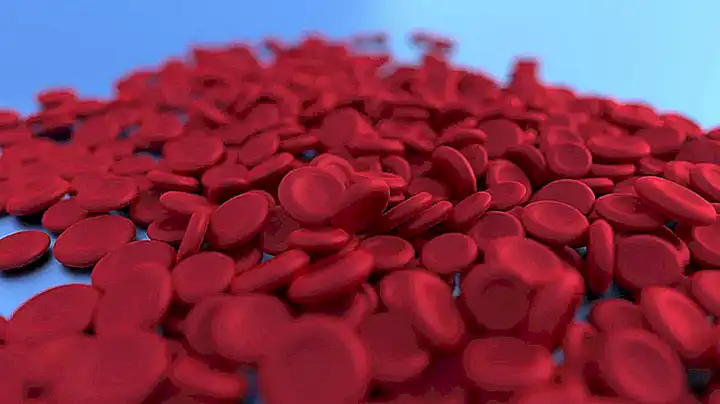 Controlar la alimentación de tus perros con anemia