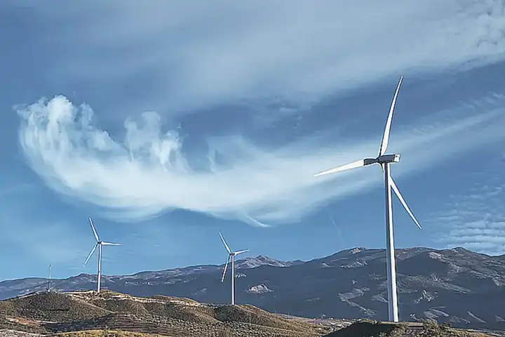 Controlar la ingesta energética