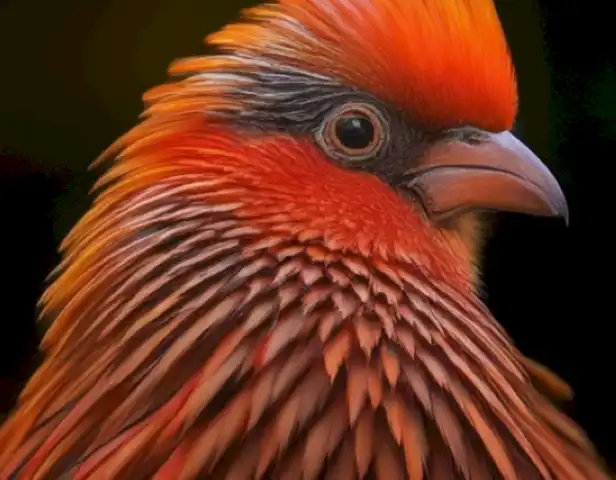   The image should depict a captivating Argentine Cotorra bird, showcasing its vibrant plumage and distinctive behaviors.
