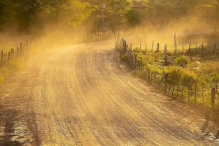 Crea un área limpia y libre de polvo