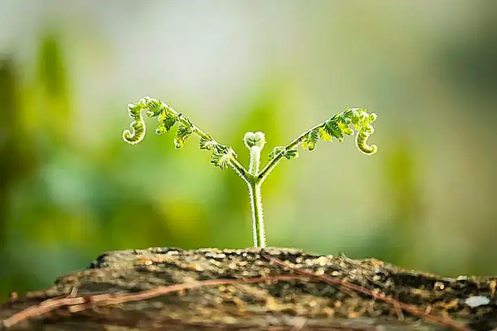 Crecimiento y desarrollo positivo
