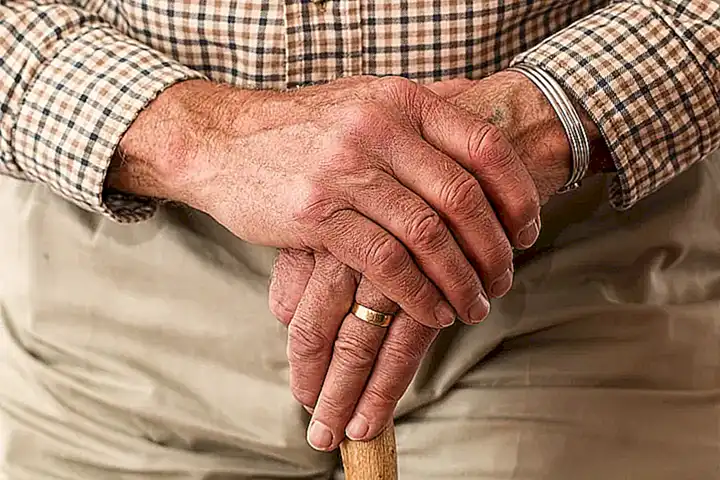 ¿Cuándo se considera que un perro es anciano y qué cambios de personalidad se pueden esperar?