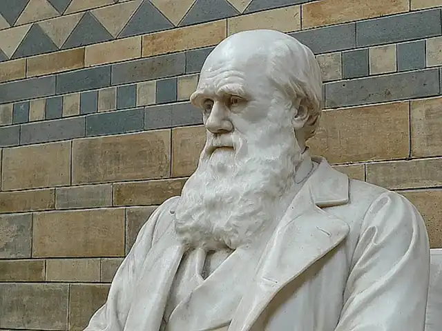 Darwin y la idea de sentimientos en insectos