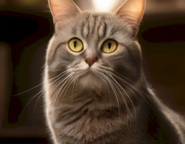 La imagen de la article debería mostrar consejos y recomendaciones claros y fáciles de entender para ayudar a los gatos adultos a mantener su salud física.