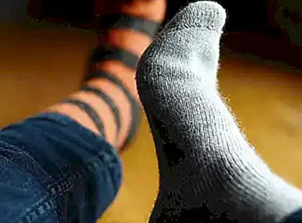 diferencias-en-el-comportamiento-de-los-canarios-adultos_h2_910.webp