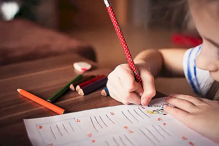 Educar a niños sobre la vida silvestre