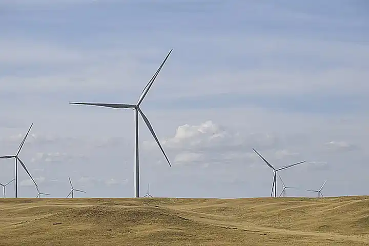 El bosque como fuente de recursos