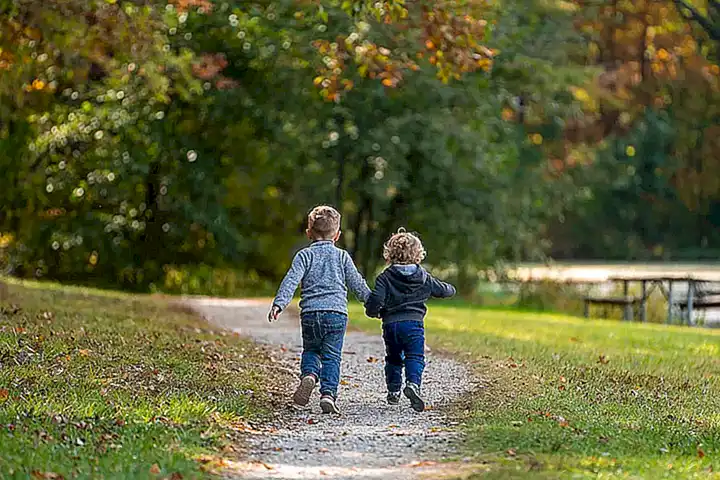 El camino hacia la amistad