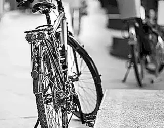 los-signos-de-embarazo-en-perros_h2_1333.webp