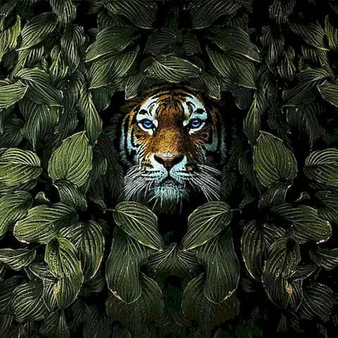 El color verde intenso del Barbo Tigre