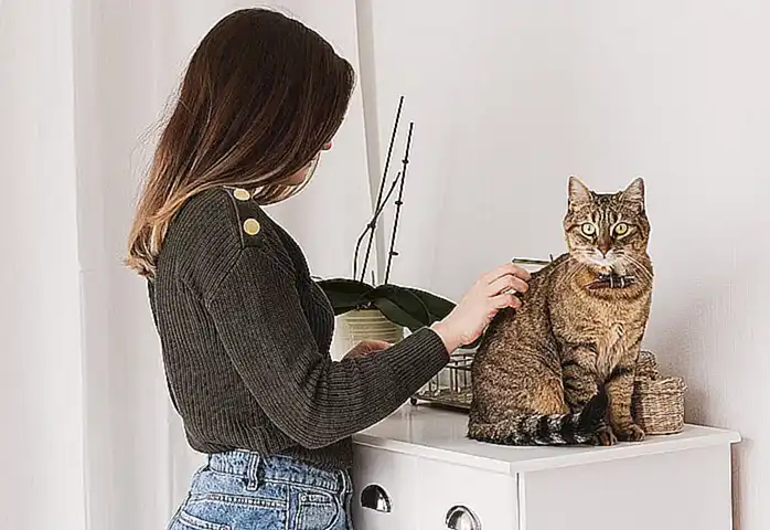 El cuidado del pelaje y los cepillos preferidos por los gatos