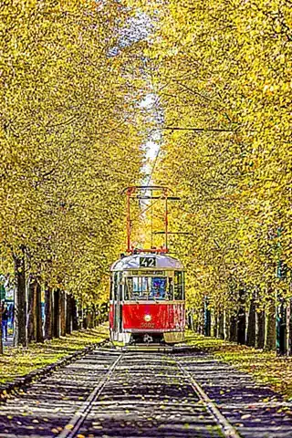 El futuro del transporte
