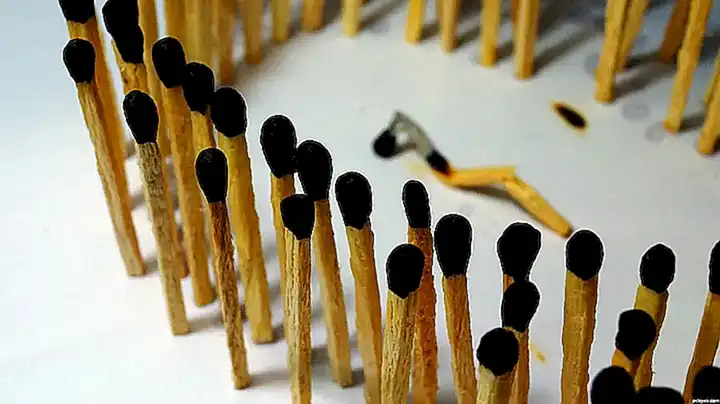 El impacto de los sitios en la sociedad humana