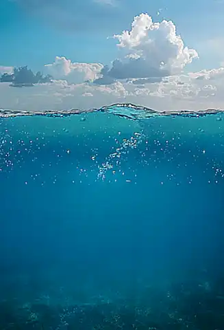 El mundo submarino