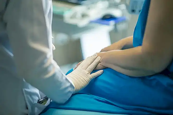 El papel de los perros en la atención médica