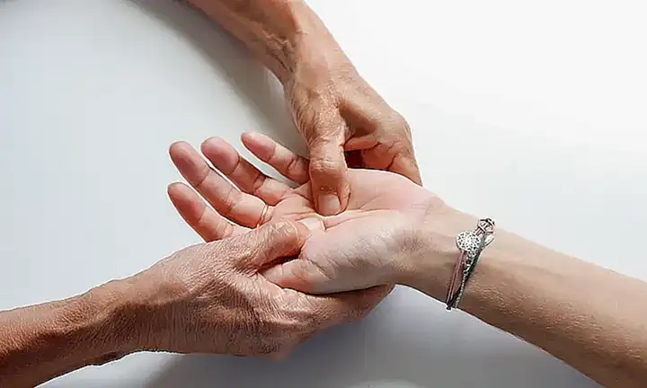 El tratamiento de la leucemia felina