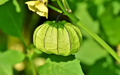 la-temperatura-del-agua_h2_805.webp
