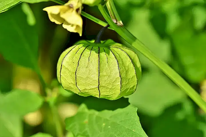 la-temperatura-del-agua_h2_805.webp