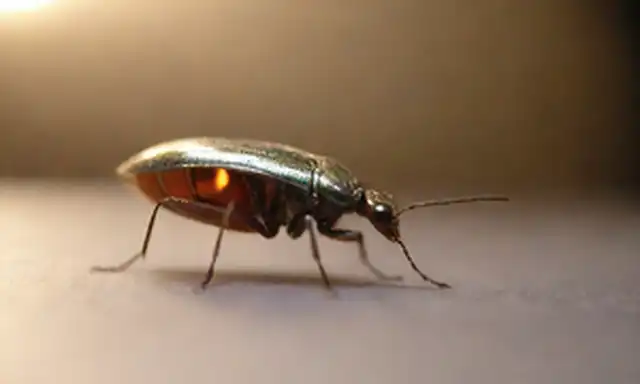 Primer plano, insectos en foco, colores metálicos brillantes, superficie reflectante, iluminación de estudio, profundidad poco profunda de campo, fondo borroso, texturas detalladas, tonos vibrantes