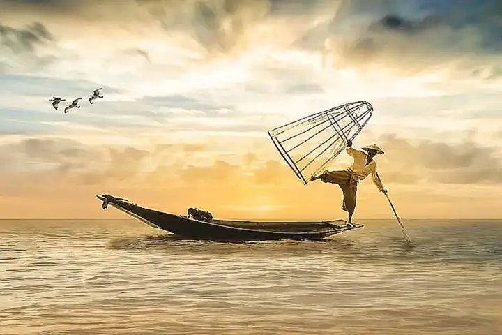Establece un equilibrio adecuado de peces